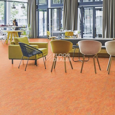 Forbo Marmoleum Decibel on Order 340335 Asian tiger фото 2 | FLOORDEALER